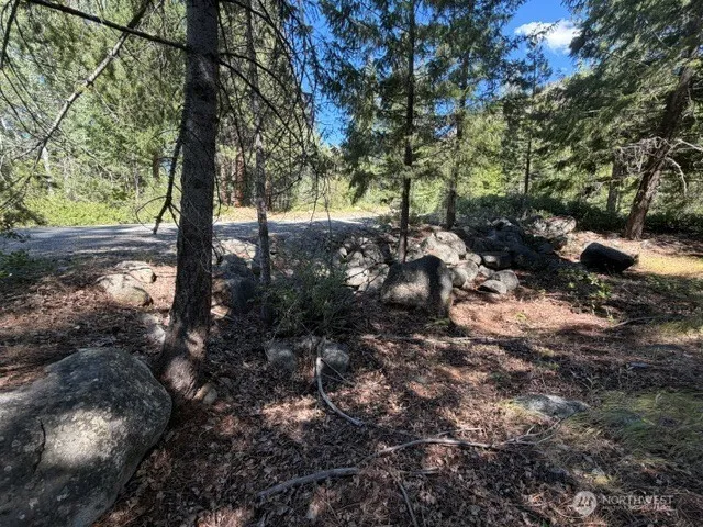 0 E Buttermilk Creek Road Twisp, WA 98856