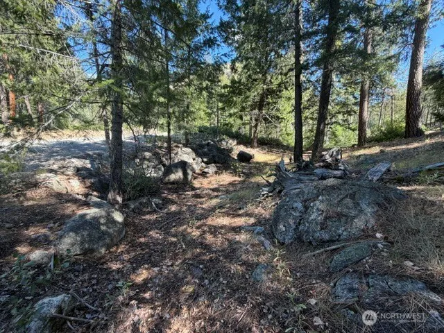 0 E Buttermilk Creek Road Twisp, WA 98856
