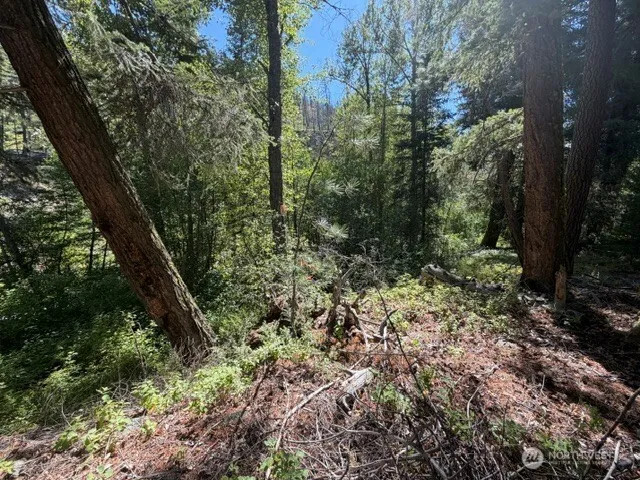 0 E Buttermilk Creek Road Twisp, WA 98856