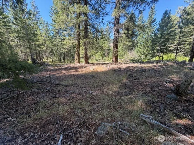 0 E Buttermilk Creek Road Twisp, WA 98856