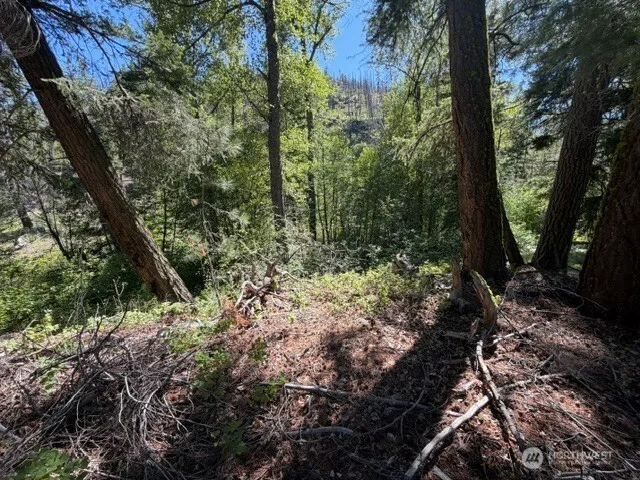 0 E Buttermilk Creek Road Twisp, WA 98856