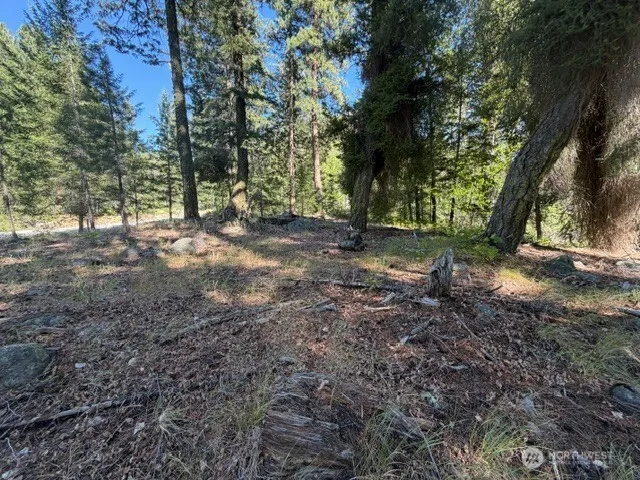 0 E Buttermilk Creek Road Twisp, WA 98856
