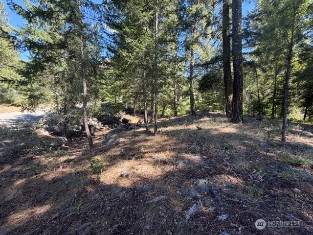 0 E Buttermilk Creek Road Twisp, WA 98856