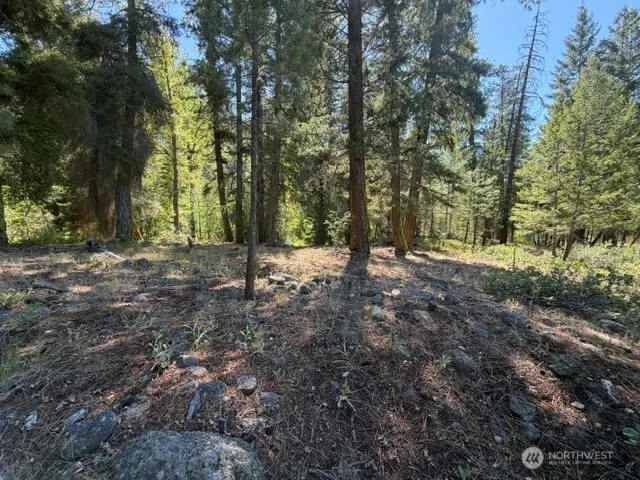 0 E Buttermilk Creek Road Twisp, WA 98856