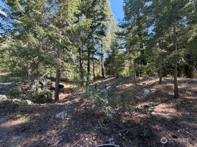 0 E Buttermilk Creek Road Twisp, WA 98856