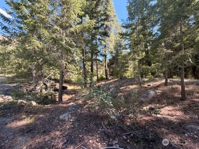 0 E Buttermilk Creek Road Twisp, WA 98856