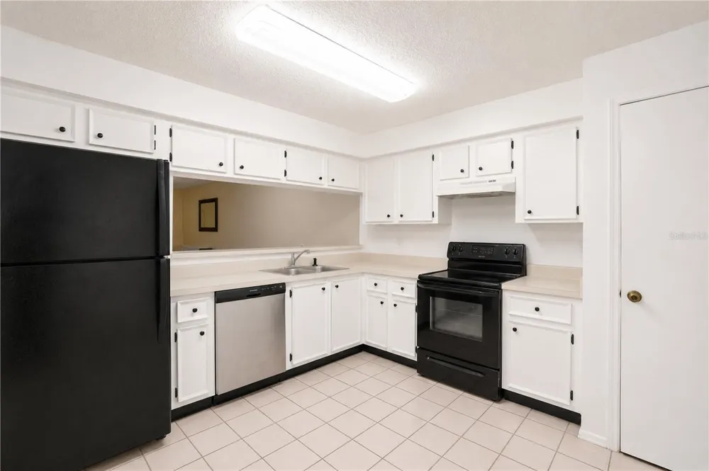 602 SAINT HENRY DRIVE Brandon, FL 33511