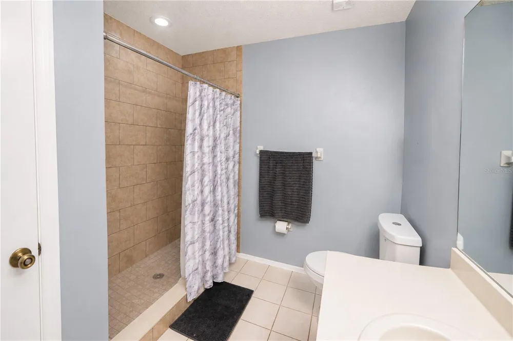 602 SAINT HENRY DRIVE Brandon, FL 33511