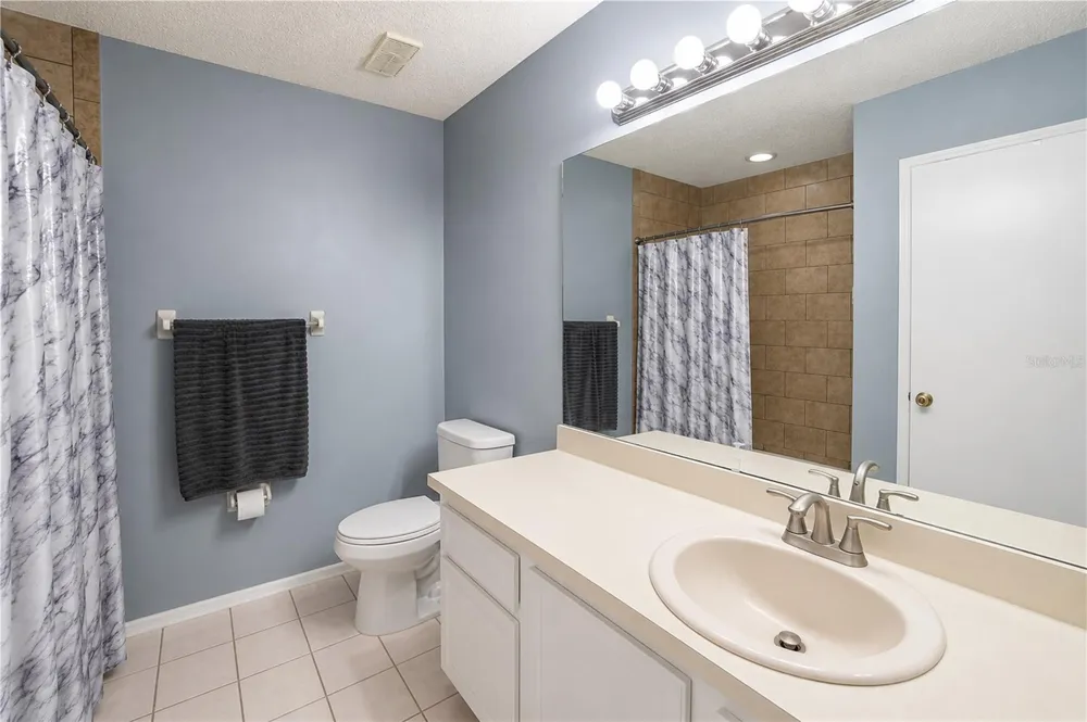 602 SAINT HENRY DRIVE Brandon, FL 33511