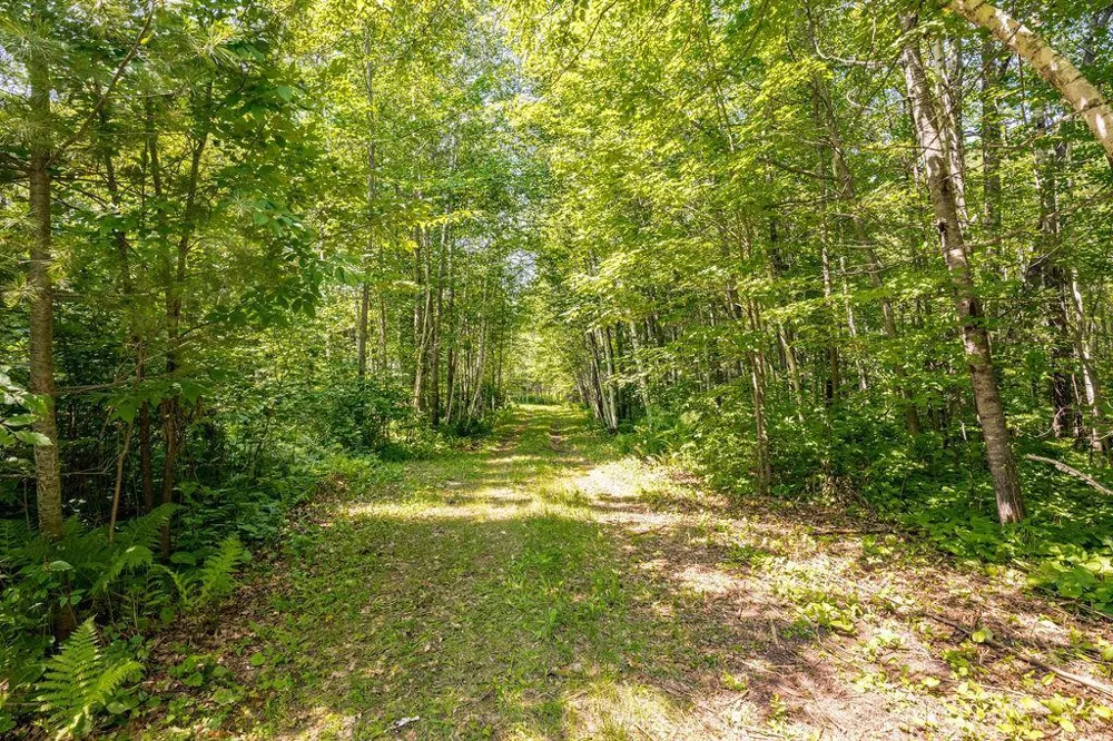 2592 Strandberg Road Barnum, MN 55707