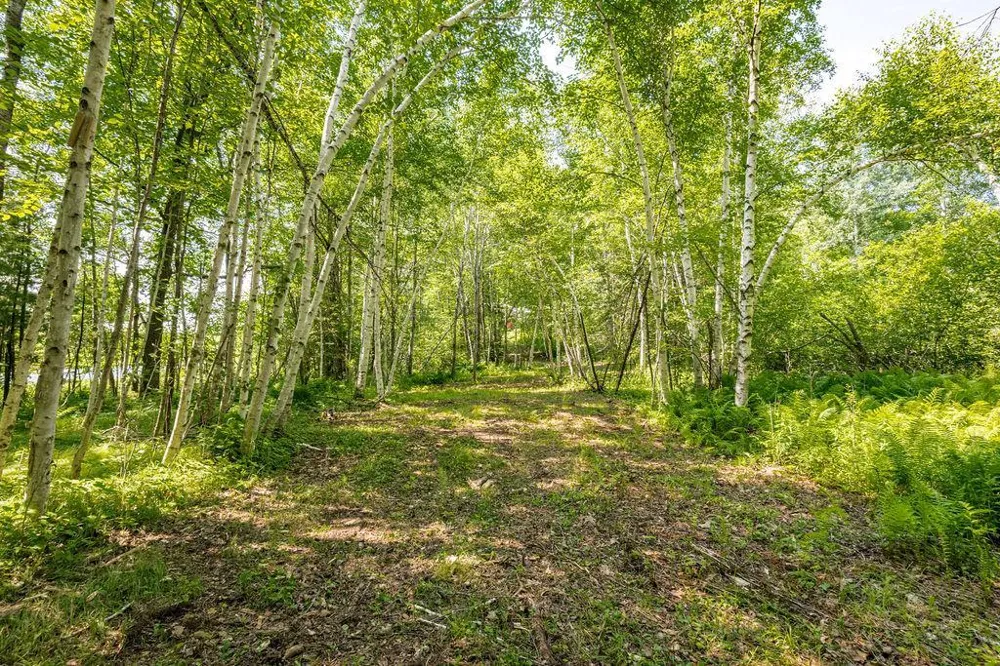 2592 Strandberg Road Barnum, MN 55707