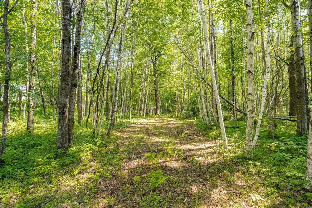 2592 Strandberg Road Barnum, MN 55707