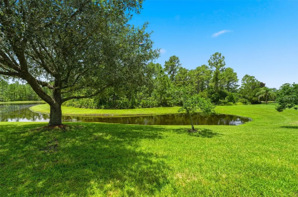 3894 SAFFLOWER TERRACE Oviedo, FL 32766