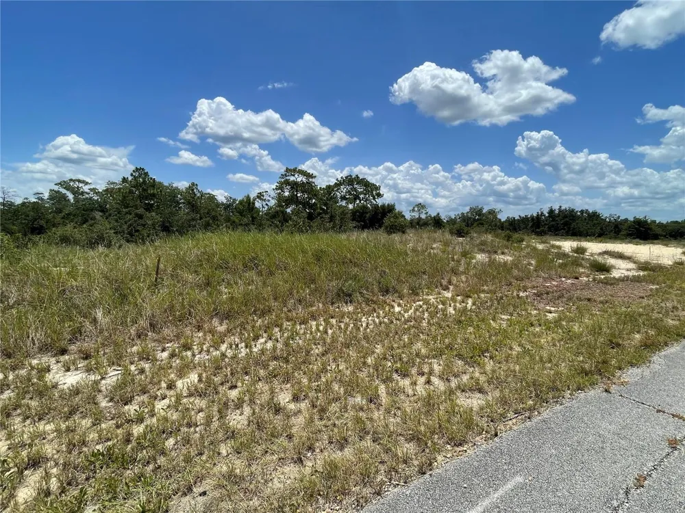 1342 HOMOSASSA COURT Poinciana, FL 34759