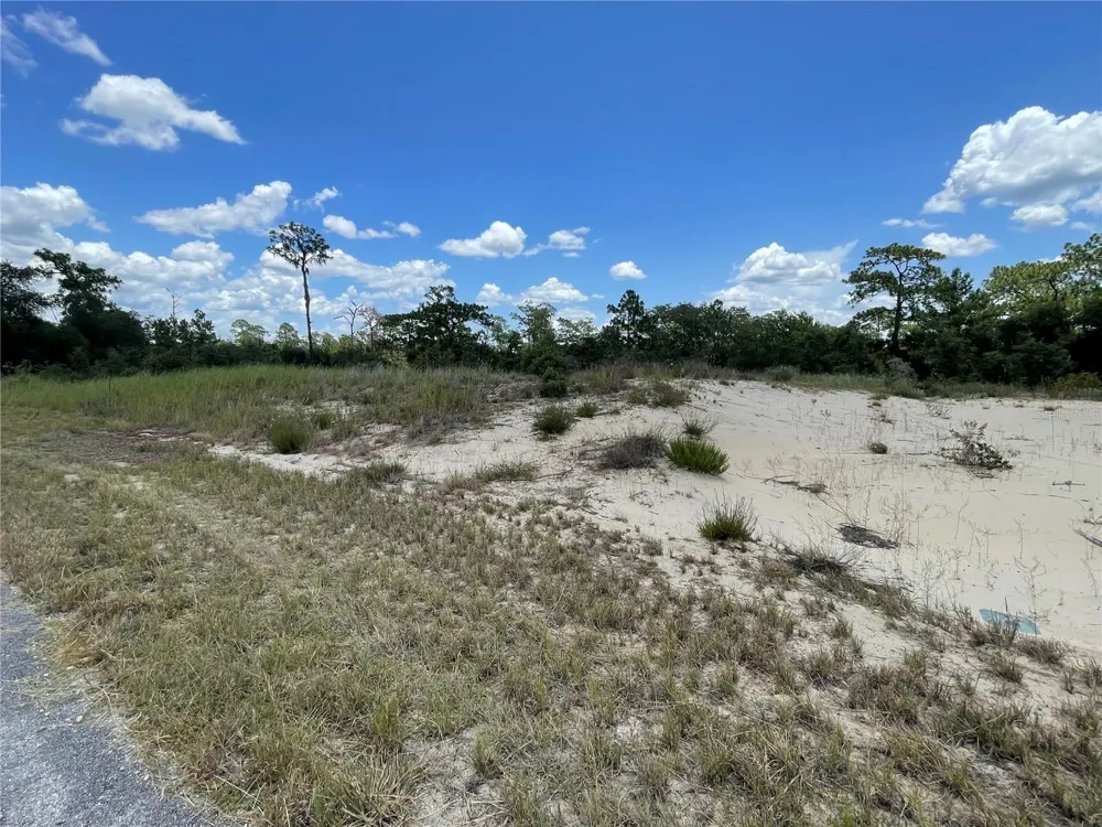 1342 HOMOSASSA COURT Poinciana, FL 34759
