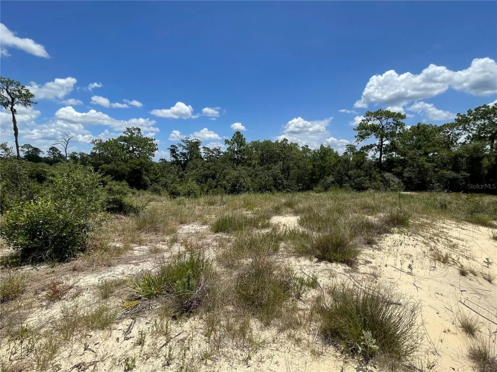 1342 HOMOSASSA COURT Poinciana, FL 34759