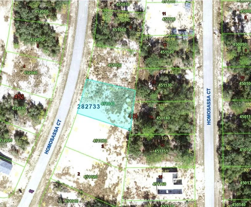 1342 HOMOSASSA COURT Poinciana, FL 34759