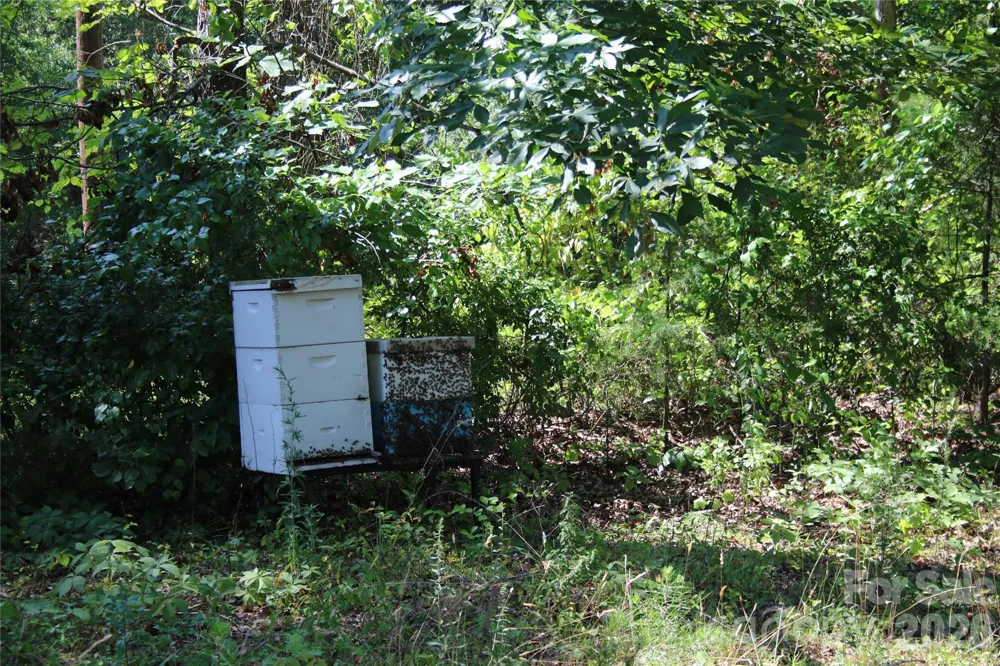 571 Piedmont Road Rutherfordton, NC 28139