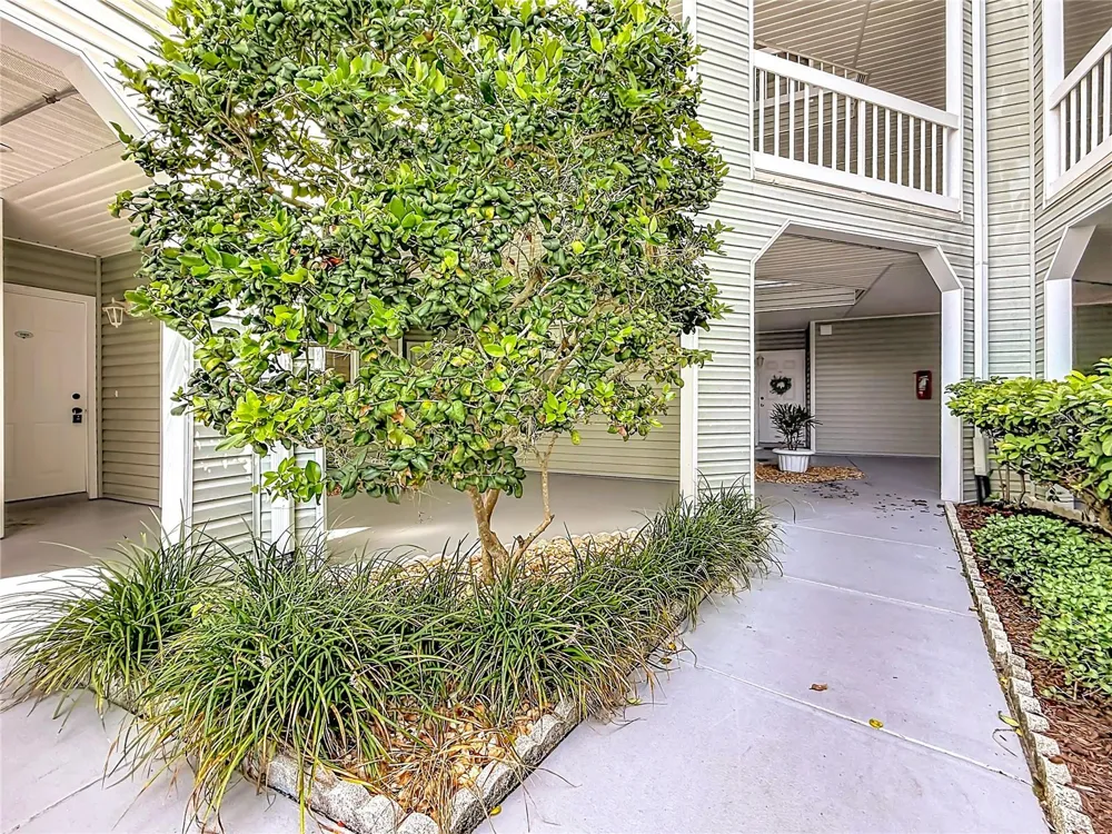 6826 STONES THROW CIRCLE #11101 St Petersburg, FL 33710