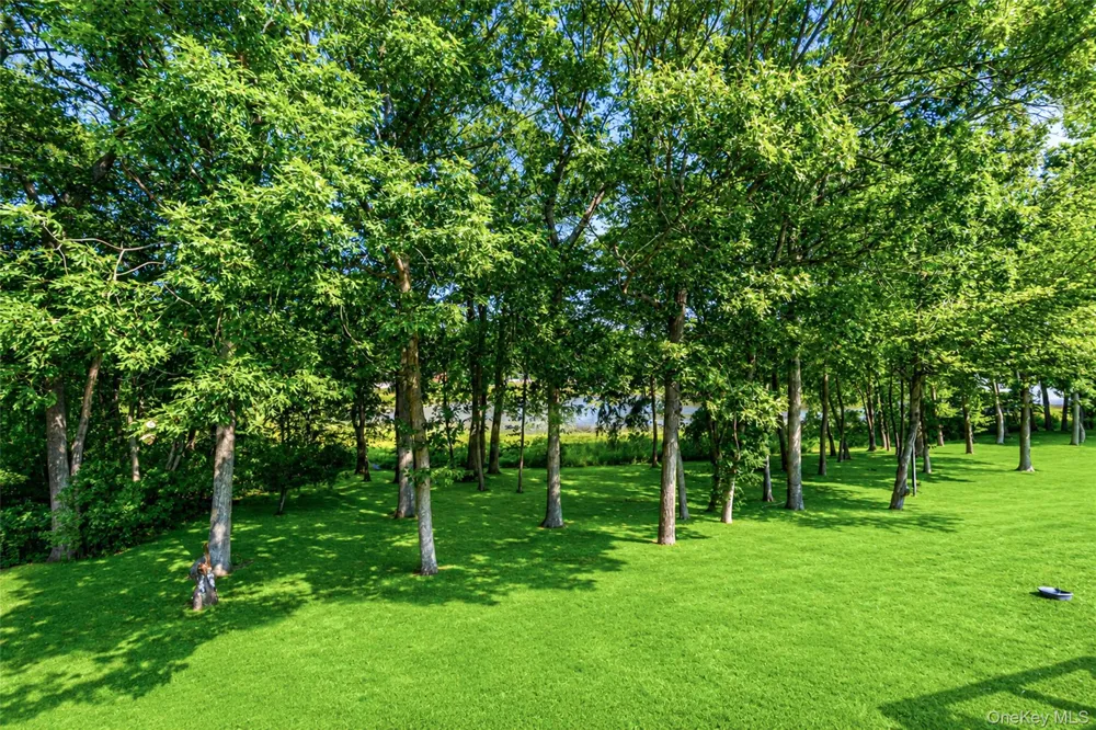 244 Lake Pointe Circle ##244 Middle Island, NY 11953