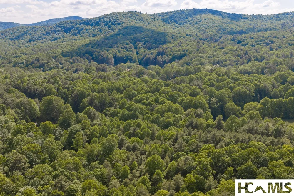 185 Hemlock Lane Sapphire, NC 28774