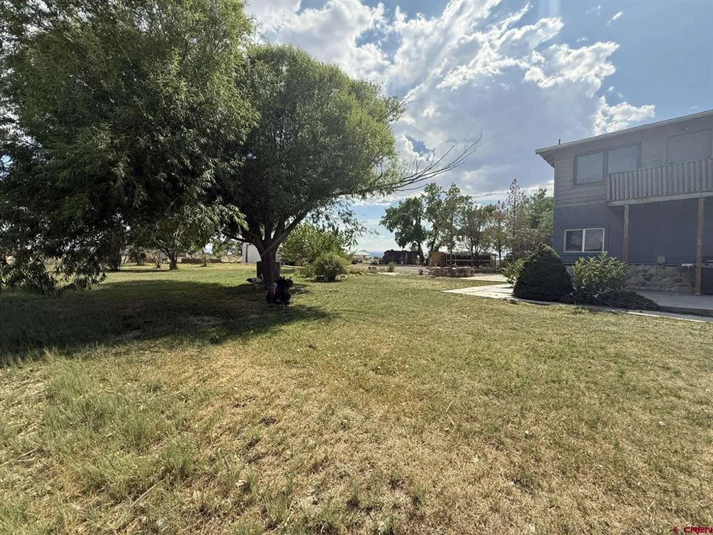 17820 B ROAD Delta, CO 81416