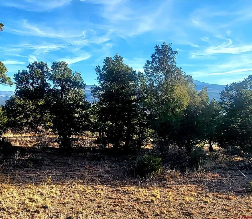 1094 Valley View Rd South Fork, CO 81154