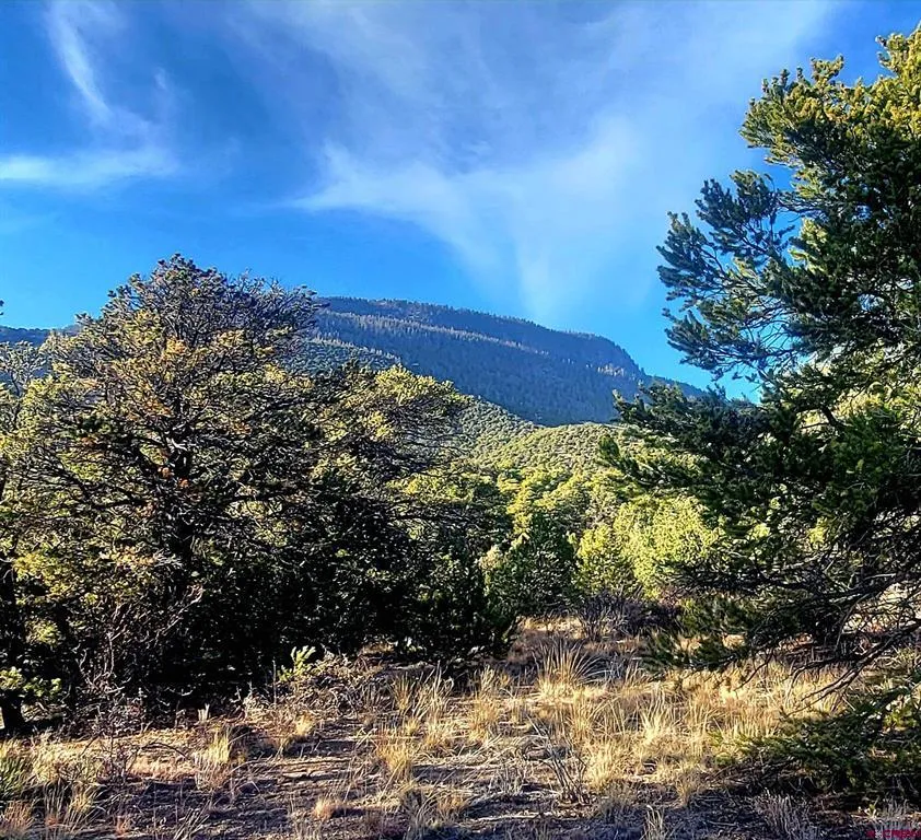 1094 Valley View Rd South Fork, CO 81154