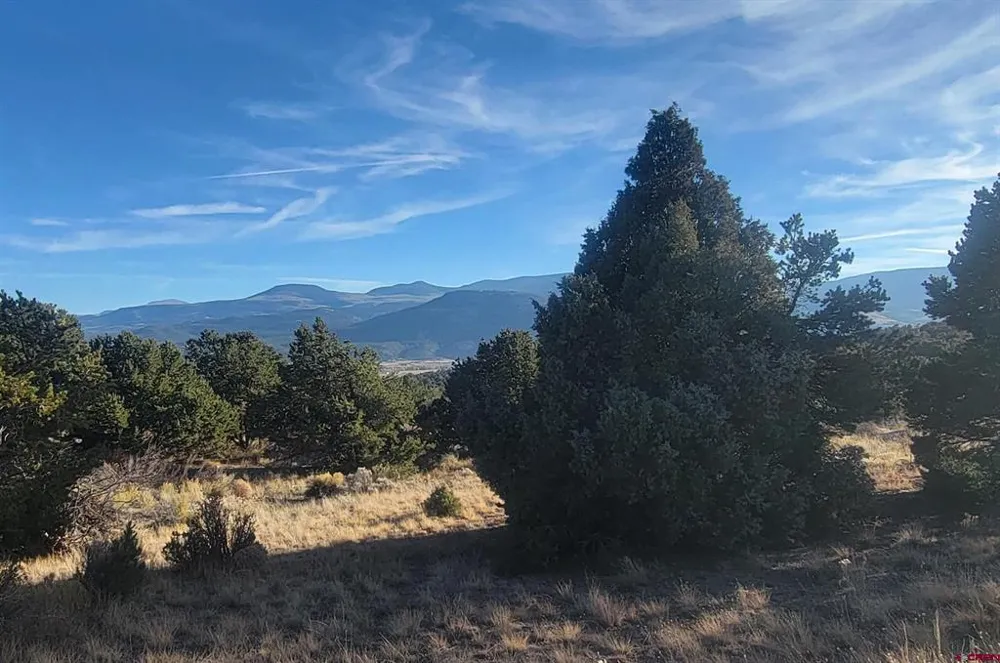 1094 Valley View Rd South Fork, CO 81154