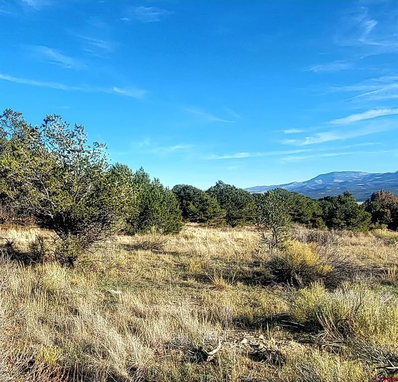 1094 Valley View Rd South Fork, CO 81154