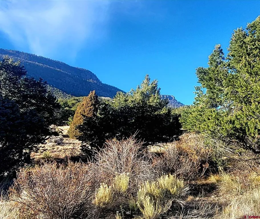 1094 Valley View Rd South Fork, CO 81154