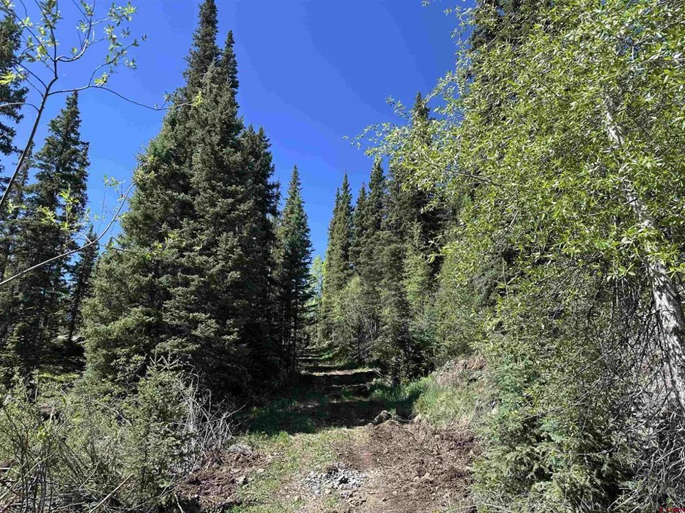 Belle Conklin Highway 550 Silverton, CO 81433