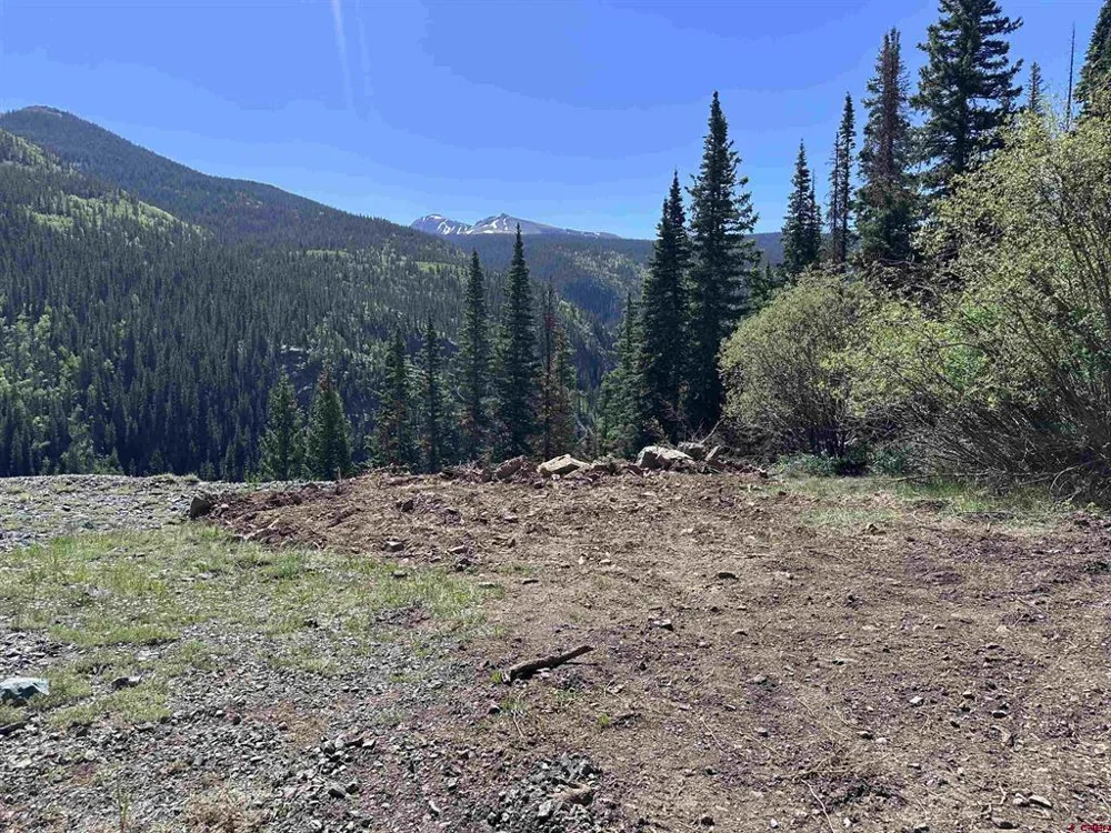 Belle Conklin Highway 550 Silverton, CO 81433