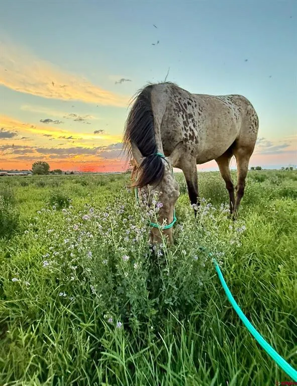 3 Solar Road Montrose, CO 81403