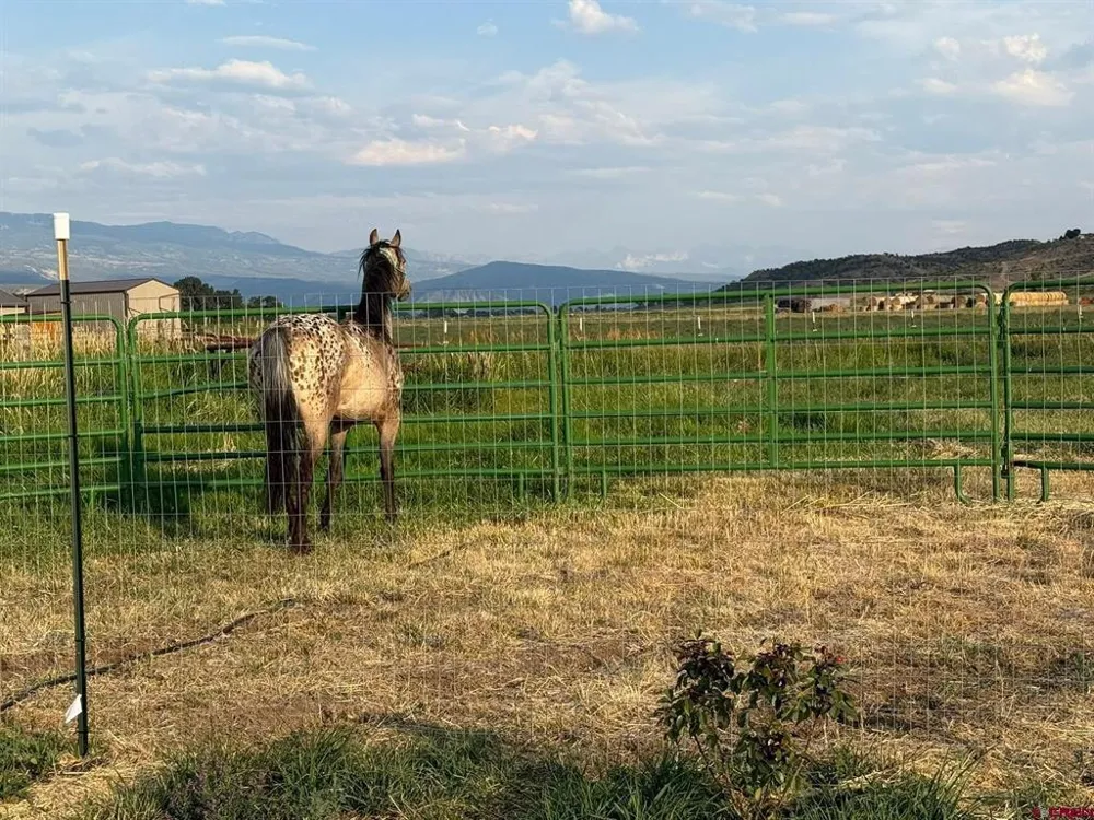 3 Solar Road Montrose, CO 81403