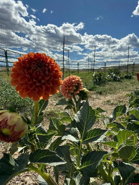 3 Solar Road Montrose, CO 81403
