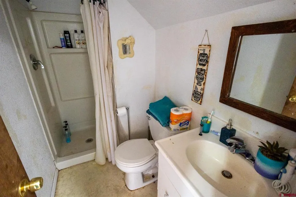 770 NW Cedar Avenue Cedaredge, CO 81413