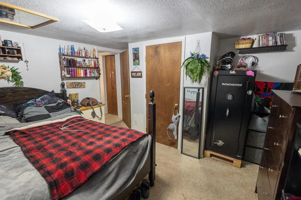 770 NW Cedar Avenue Cedaredge, CO 81413