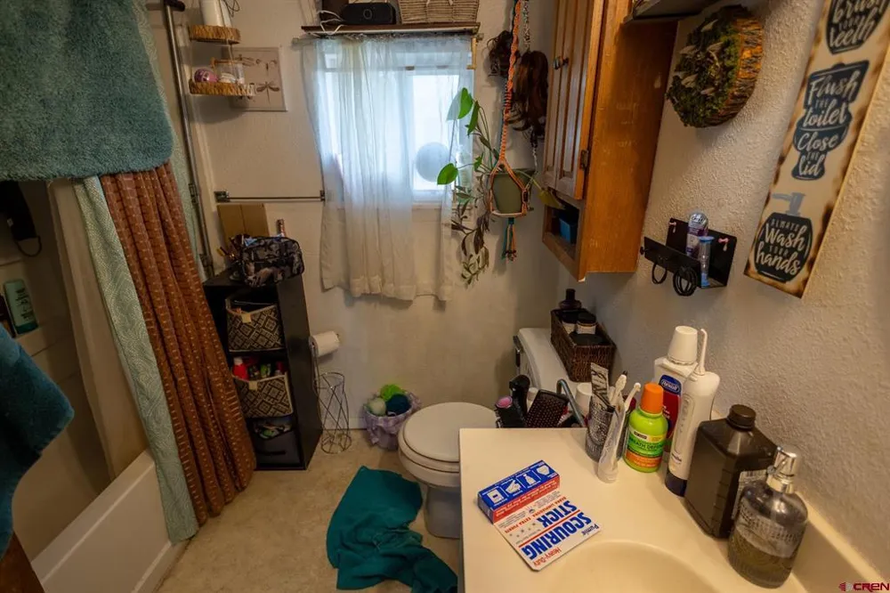 770 NW Cedar Avenue Cedaredge, CO 81413