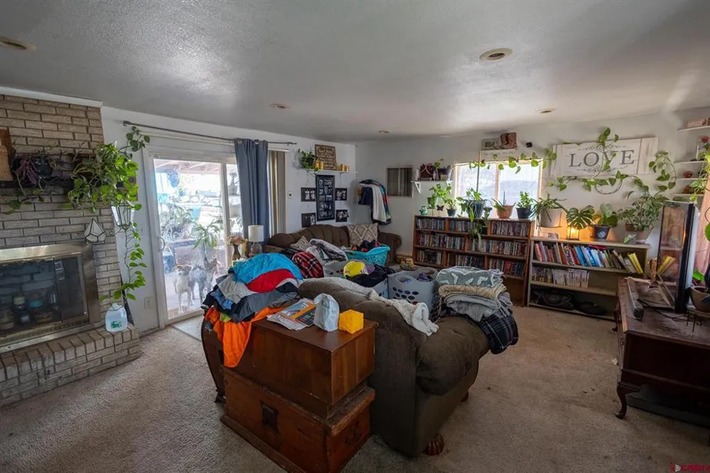 770 NW Cedar Avenue Cedaredge, CO 81413