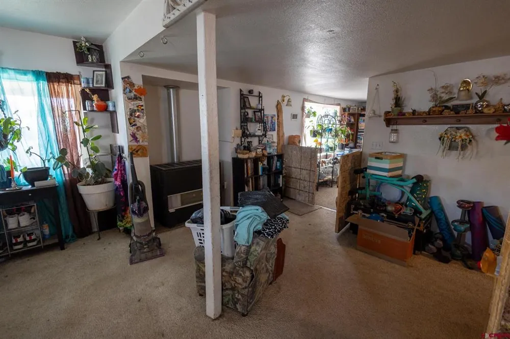 770 NW Cedar Avenue Cedaredge, CO 81413