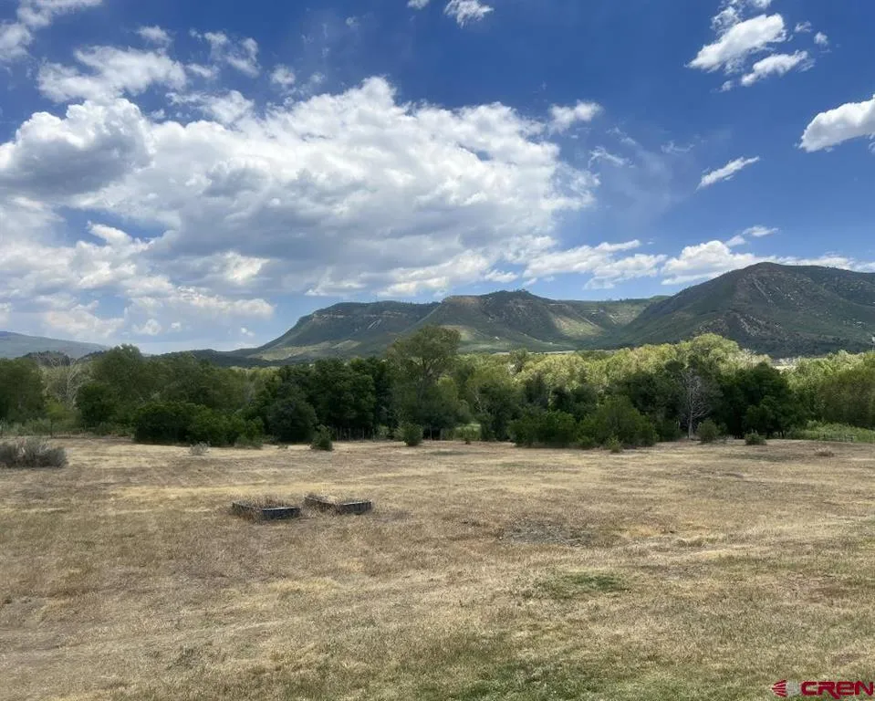 42164 Road J.75 Mancos, CO 81328