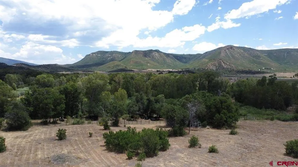 42164 Road J.75 Mancos, CO 81328