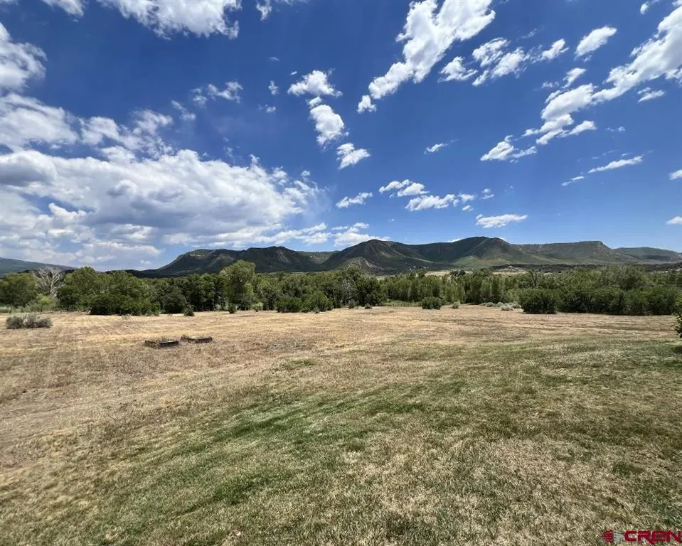 42164 Road J.75 Mancos, CO 81328