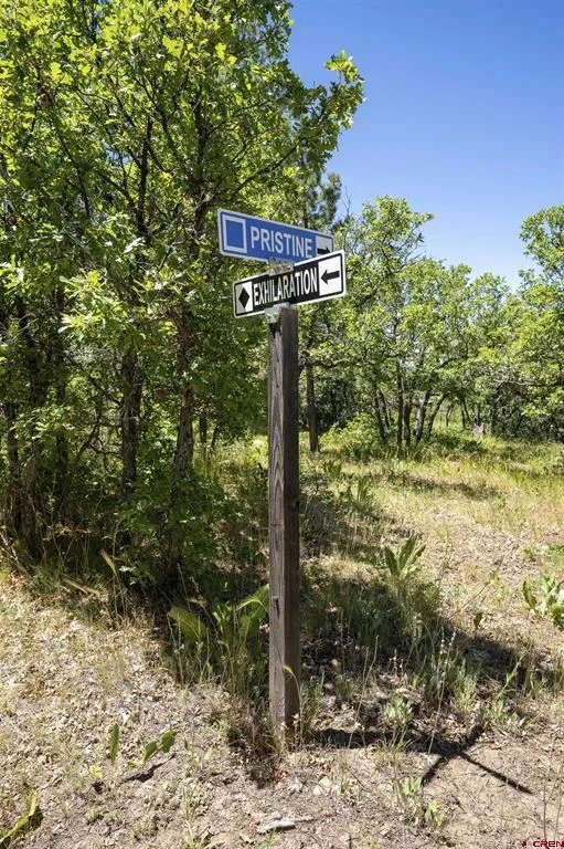 3149 Ranchland Drive Pagosa Springs, CO 81147