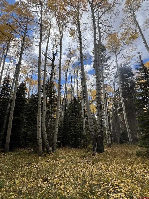 185 Aspen Trail Cimarron, CO 81220