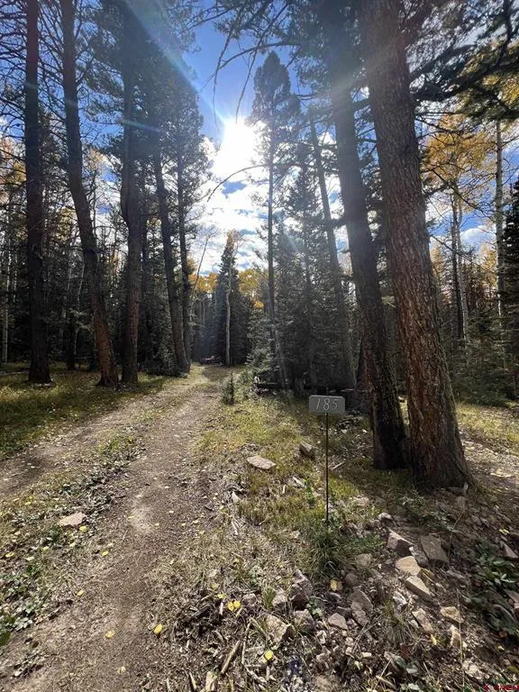 185 Aspen Trail Cimarron, CO 81220