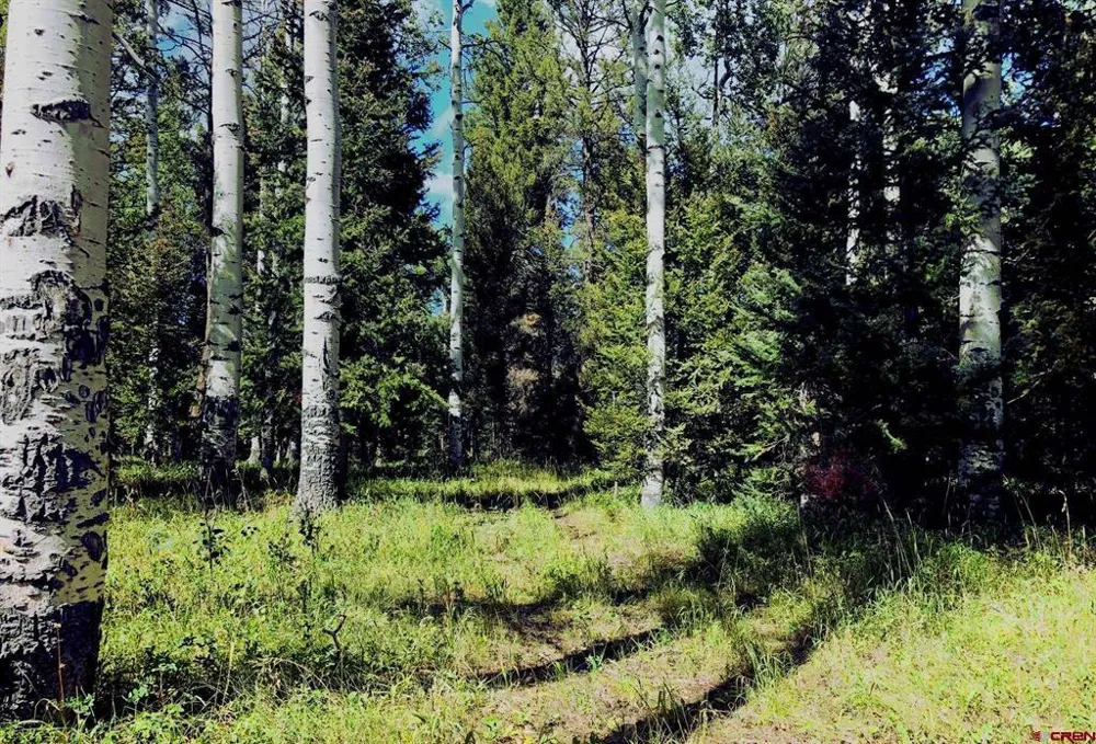 185 Aspen Trail Cimarron, CO 81220