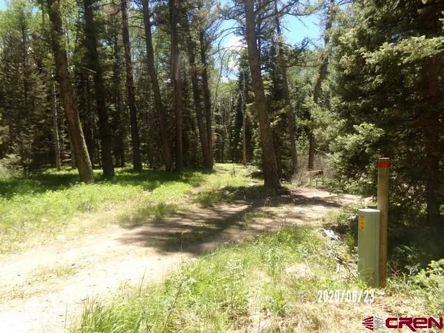 185 Aspen Trail Cimarron, CO 81220