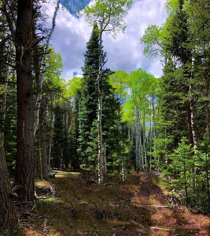 185 Aspen Trail Cimarron, CO 81220